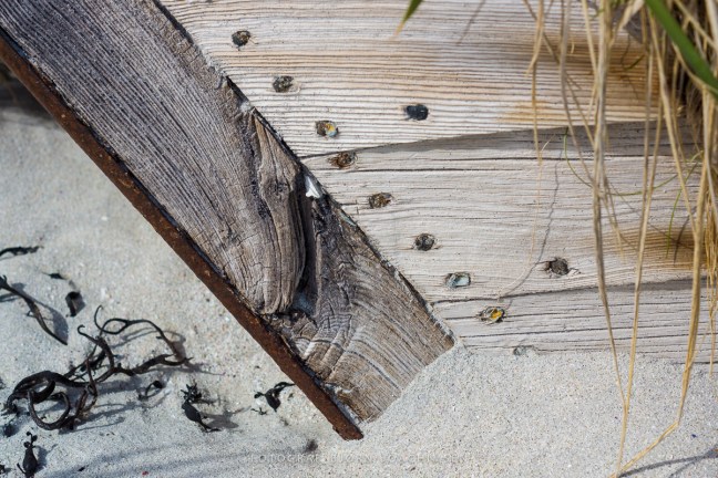 Fotokurs i Tromsø. ©Bjørn Joachimsen.