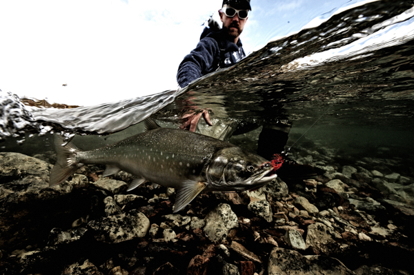 Lofoten Outdoor Photoworkshop – ©Yngve Ask