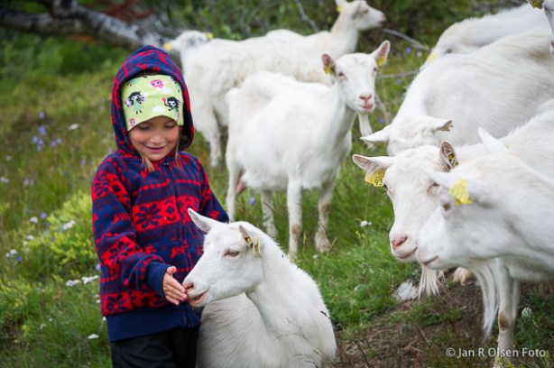 Innføringskurs i foto [Nord-Troms] ©Jan R. Olsen