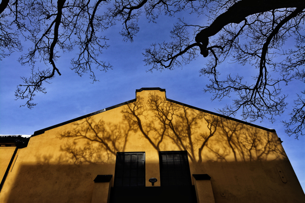 Fotokurs i Ålesund. ©Bjørn Joachimsen.