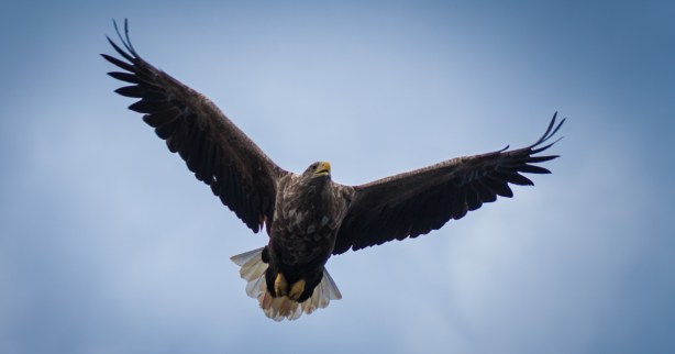 Fotokurs i Vesterålen. ©Bjørn Joachimsen.