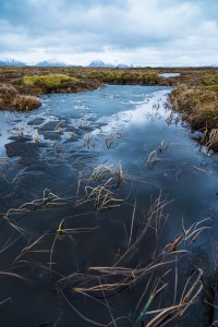 Fotokurs i Vesterålen. ©Bjørn Joachimsen.