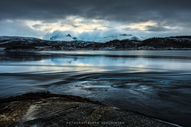 beapedersen@gmail.com