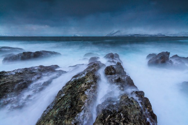 Vinterland Lyngen – naturfotokurs med Jan R. Olsen og Bjørn Joachimsen. Foto: ©Bjørn Joachimsen.