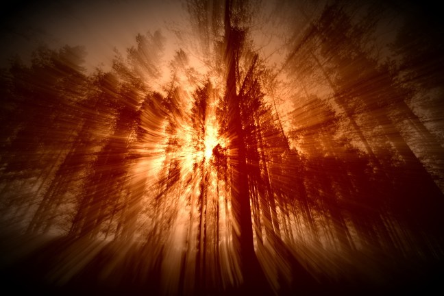 Fotoredigering med mobil og nettbrett. ©Julia M. Rønneberg.