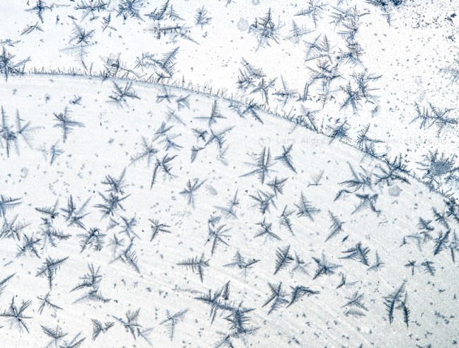 Vinterland Lyngen – naturfotoworkshop med Bård Løken, Lars Andreas Dybvik og Bjørn Joachimsen. ©Lars Andreas Dybvik.