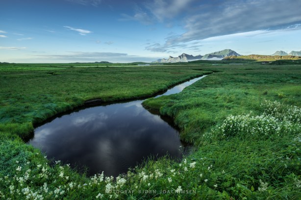 Fredvang-_DSC3356-Bjørn Joachimsen.jpg