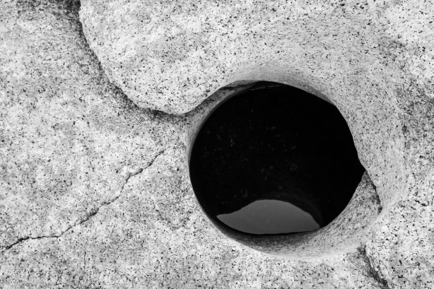 Yxney-_DSC1733-Bjørn Joachimsen.jpg