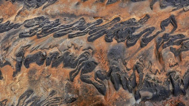 Fotokurs i Gildeskål – lær naturfotografering. ©Bjørn Joachimsen.