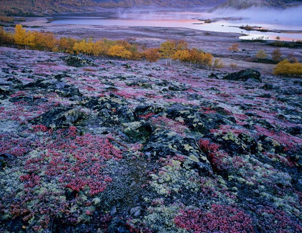Fotoworkshop i Jotunheimen med Bård Løken og Bjørn Joachimsen