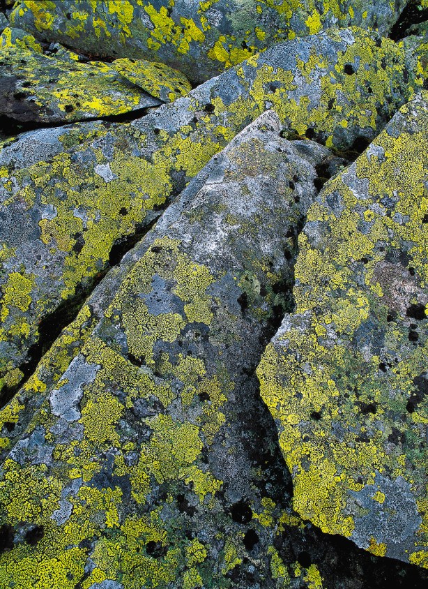 Naturfotoworkshop i Jotunheimen med Bård Løken og Bjørn Joachimsen.