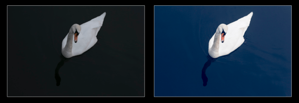 Lær hvordan du redigerer bilder med Lightroom. ©Bjørn Joachimsen.