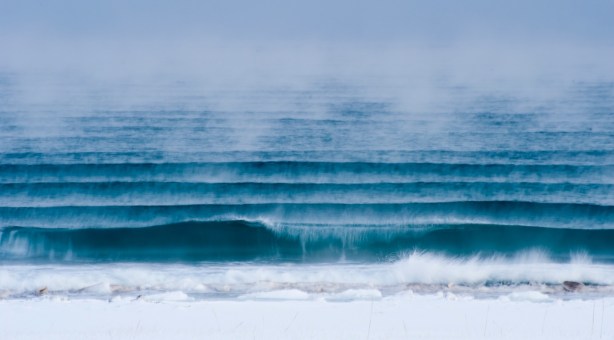 Naturfotoworkshop i Vestfold med Bård Løken, Magnus Reneflot og Bjørn Joachimsen. ©Magnus Reneflot.