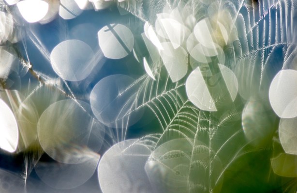 Naturfotoworkshop i Vestfold med Bård Løken, Magnus Reneflot og Bjørn Joachimsen. ©Magnus Reneflot.