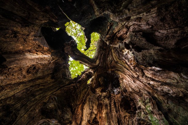 Naturfotoworkshop i Vestfold med Bård Løken, Magnus Reneflot og Bjørn Joachimsen. ©Bjørn Joachimsen.