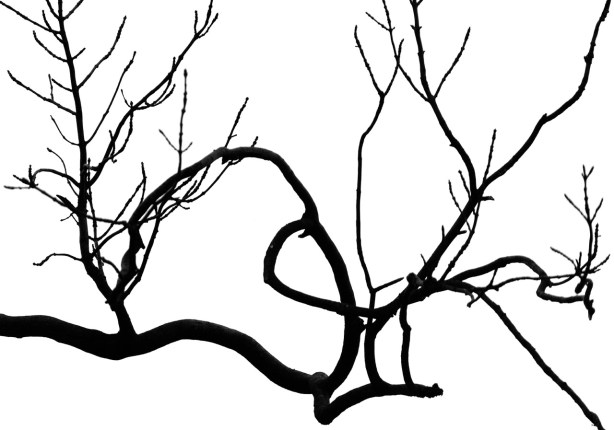 Naturfotoworkshop i Vestfold med Bård Løken, Magnus Reneflot og Bjørn Joachimsen. ©Magnus Reneflot.