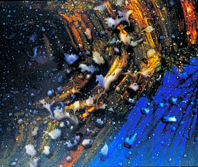 Naturfotoworkshop i Vestfold. ©Magnus Reneflot.