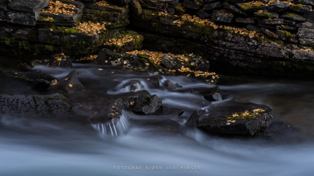 Naturfotoworkshop ved foten av Lyngsalpene. ©Bjørn Joachimsen.