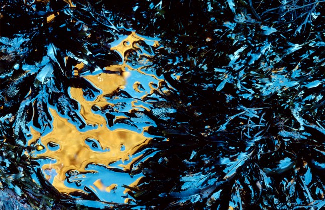 Naturfotoworkshop i Vestfold med Bård Løken, Magnus Reneflot og Bjørn Joachimsen. ©Magnus Reneflot.