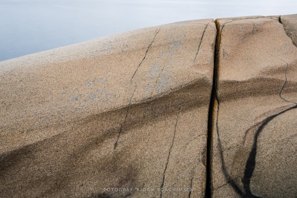 Naturfotoworkshop i Vestfold med Bård Løken, Magnus Reneflot og Bjørn Joachimsen. ©Bjørn Joachimsen.