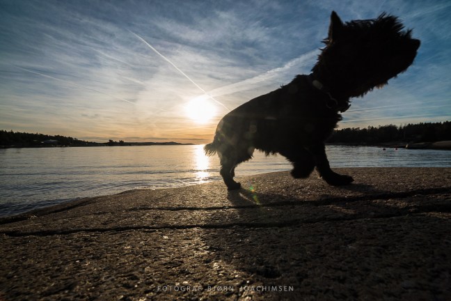 Fotokurs i Vestfold: Oppdag Veierland med kamera! ©Bjørn Joachimsen.