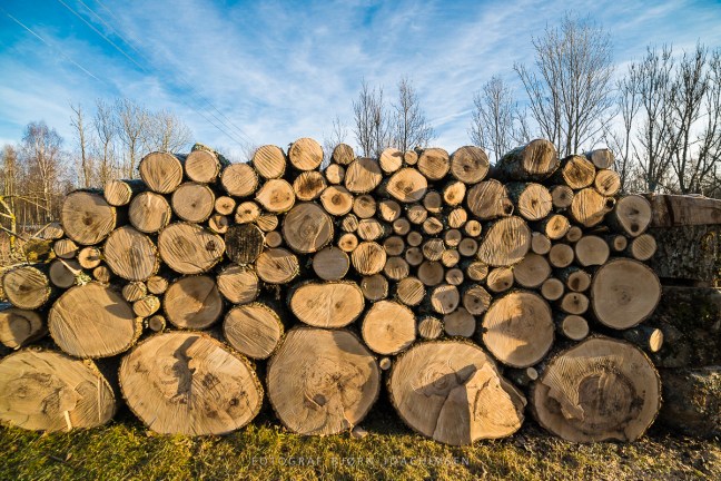 Fotokurs i Vestfold: Oppdag Veierland med kamera! ©Bjørn Joachimsen.