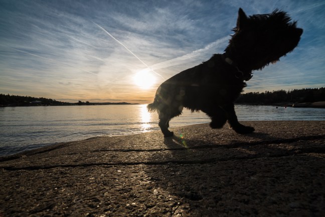 Mobilfotokurs på Veierland i Vestfold. ©Bjørn Joachimsen.