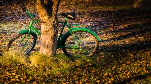 Fotokurs i Vestfold: Oppdag Veierland med kamera. ©Bjørn Joachimsen.