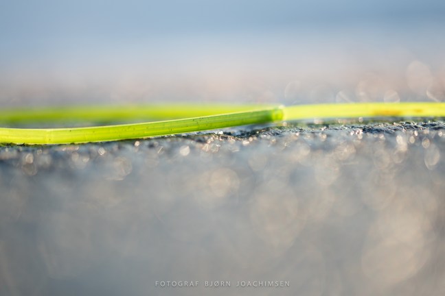 Fotokurs i Vestfold: Oppdag Veierland med kamera! ©Bjørn Joachimsen.