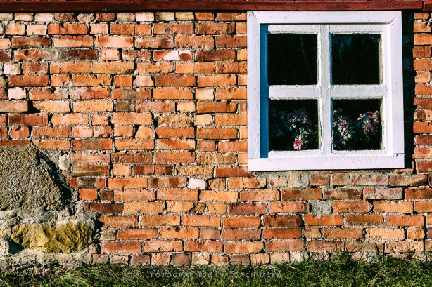 Fotokurs i Vestfold: Oppdag Veierland med kamera! ©Bjørn Joachimsen.