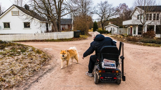 Fotokurs i Vestfold: Oppdag Veierland med kamera! ©Bjørn Joachimsen.