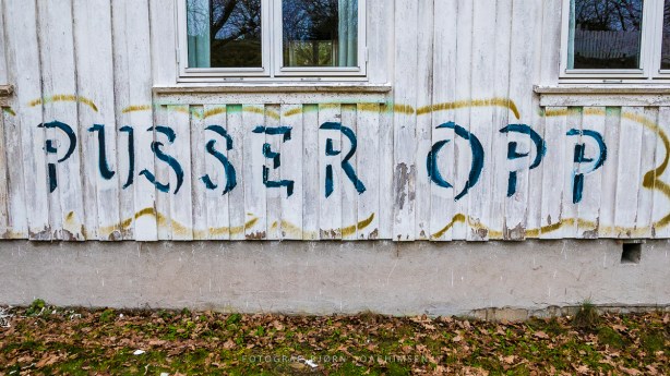 Fotokurs i Vestfold: Oppdag Veierland med kamera! ©Bjørn Joachimsen.