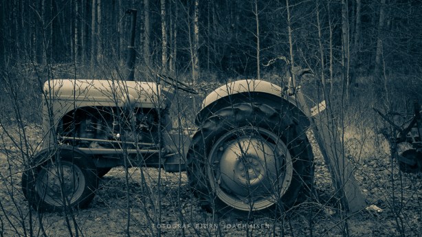 Fotokurs i Vestfold: Oppdag Veierland med kamera! ©Bjørn Joachimsen.