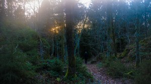 Mobilfotokurs på Veierland i Vestfold. ©Bjørn Joachimsen.