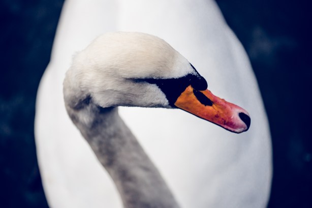 Naturfotoseminar i Tønsberg. ©Bjørn Joachimsen.