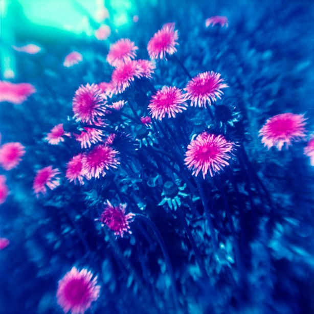 Lomo Analog fotoworkshop i Oslo. ©Julia M. Rønneberg