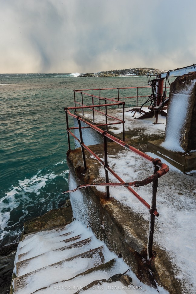 Fotoworkshop på Hornøya 2018. ©Bjørn Joachimsen.