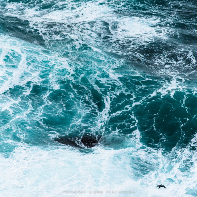 Fotoworkshop på Hornøya 2018. ©Bjørn Joachimsen.