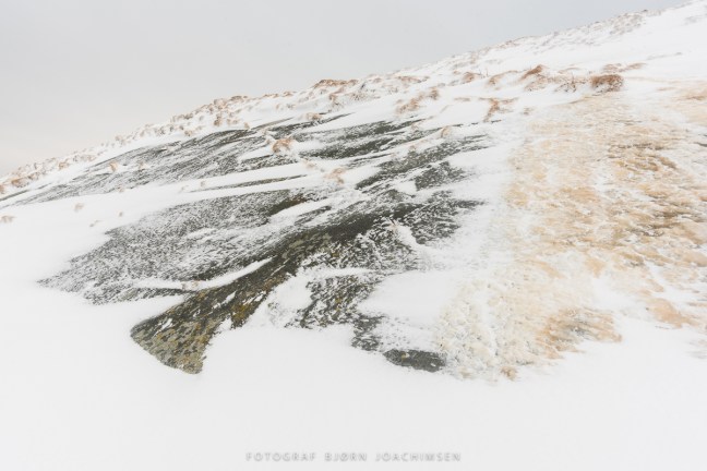 Fotoworkshop på Hornøya 2018. ©Bjørn Joachimsen.