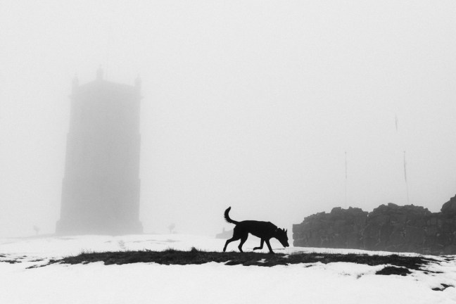 Fotoglede! Et grunnkurs i fotografering. [Vestfold]. ©Bjørn Joachimsen.