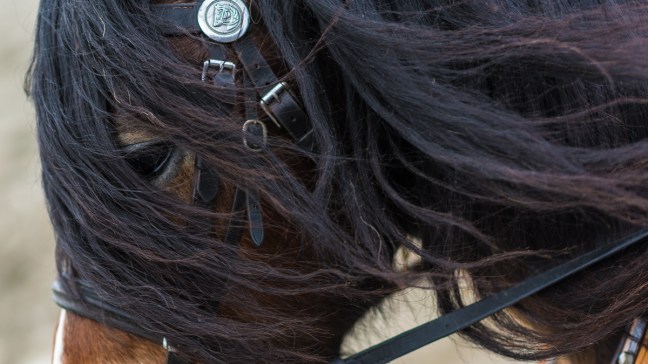 Fotokurs på Røros 2018. ©Bjørn Joachimsen.