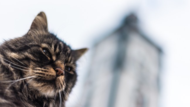 Fotokurs på Røros 2018. ©Bjørn Joachimsen.