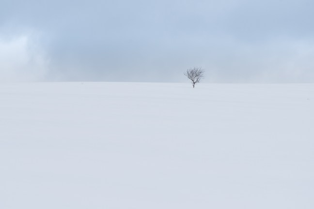 Fotokurs på Røros 2018. ©Bjørn Joachimsen.