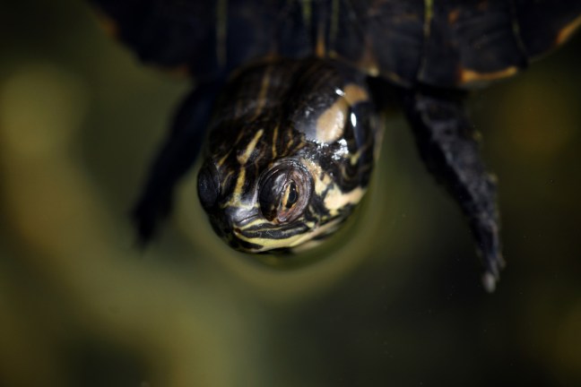 Fotoworkshop i Kroatia 2018 – ©Bjørn Joachimsen.