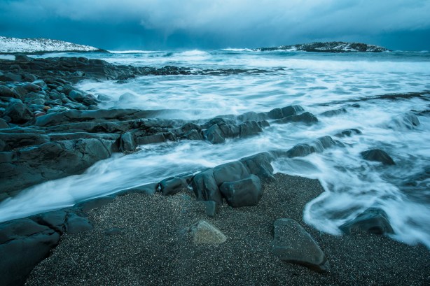 Hornøya©Bjørn Joachimsen-_DSC6850.jpg