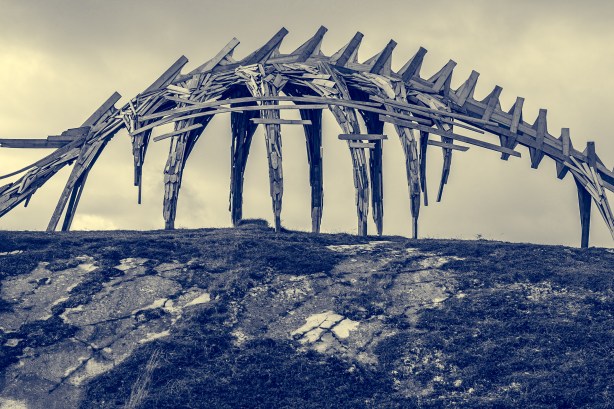 Varanger, Norway-_DSC6960-©Bjørn Joachimsen.jpg